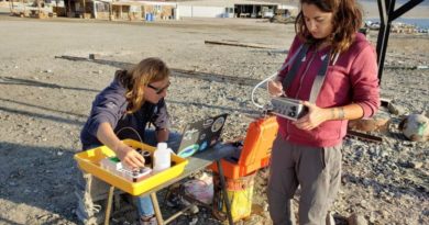 Estudian en algas los efectos de la industria desalinizadora en ecosistemas marinos