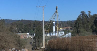 Villa Alemana: Abren sumarios para avícolas que generan olores molestos