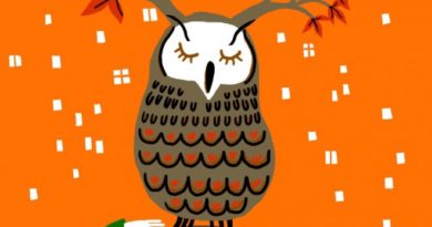 “Bioeconomía: un futuro sustentable en madera” es el tema central de la segunda versión del concurso de cuentos organizado por Madera21 y BiblioGam