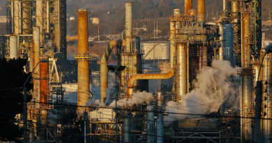 Concón: Municipio da a conocer protocolo para denuncias por malos olores