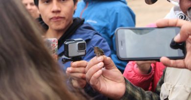 Estudiantes de la Universidad de Playa Ancha exploran valle del río Limarí, Coquimbo