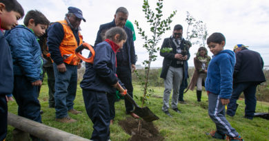 Concón: Municipio y CONAF reafirman convenio para continuar arbolización de la comuna
