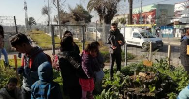 Quilpué: Niños aprenden en huerto educativo de Estación Quilpué de Metro Valparaíso