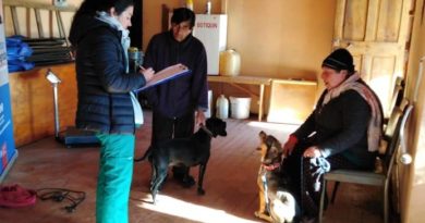 Municipio de Papudo inicia operativos del Programa “Mascota Protegida”