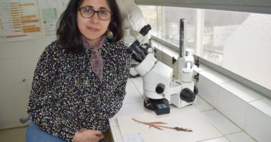 Herbario de Universidad de Playa Ancha se encuentra abierto a Chile y el mundo