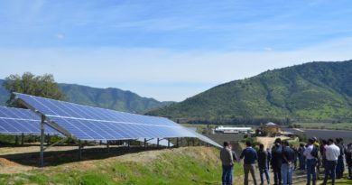 Mesas de trabajo buscan opciones para elevar competitividad en sector agrícola