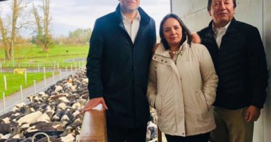 Aprueban proyecto que obligará a etiquetar la leche y productos lácteos