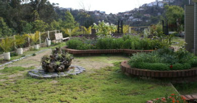 Comunidad porteña puede volver a disfrutar del Parque Quintil de Valparaíso