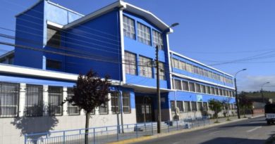 Bullying: ¿Cómo debiese responder un colegio?