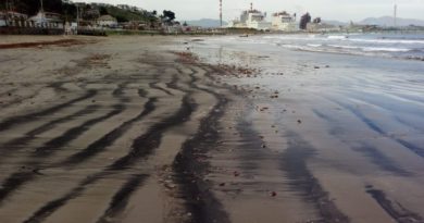 Puchuncaví: Colegio Médico de Valparaíso advierte riesgos sobre jornada de limpieza en playas de Puchuncaví