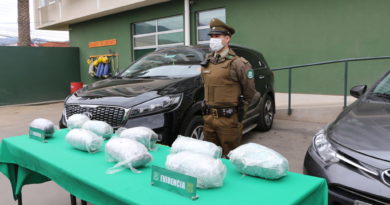 La Ligua: Carabineros de OS-7 incauta marihuana avaluada en $45 millones