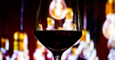 Celebración del Día Nacional del Vino en Viña del Mar