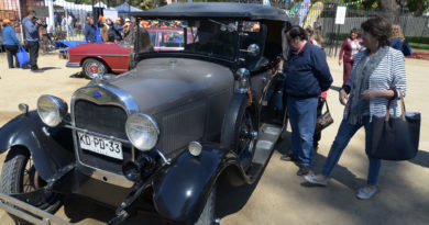 Viña del Mar: Adultos mayores participaron en caravana de autos antiguos