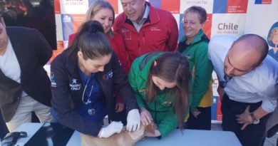 “En Marcha”: Plan veterinario que SUBDERE implementará en toda la región