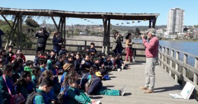 Concón celebró el Día Internacional del Medioambiente plantando árboles nativos en el humedal