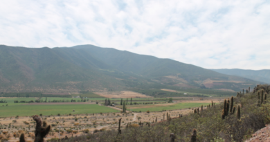 Unidos por la Sequía: Se realizará jornada de ayuda para familias de Cabildo afectadas por emergencia agrícola