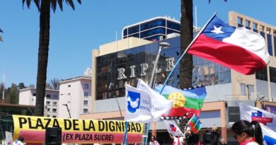 Concurrida marcha se registró la tarde de este jueves por las calles de Viña del Mar