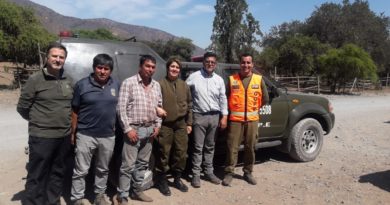 Nogales: Arriero que cayó en quebrada fue rescatado con éxito