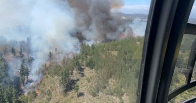 Incendio El Petril: 290 hectáreas han sido consumidas, hasta ahora no hay riesgo para viviendas