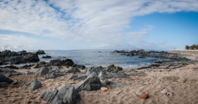Académico español en la UPLA “No es cierto que la desalación del mar mata todo”