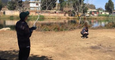 Laboratorio UPLA colabora para reconstruir áreas siniestradas por incendios y tsunamis en la V Región