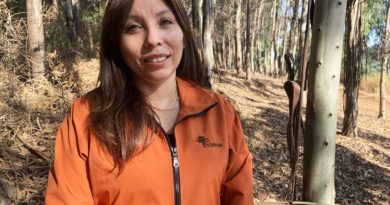 [Columna de Opinión] Prevención de Incendios, tarea de todos