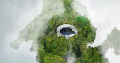 Embajadores del Festival: Iniciativa que con un nuevo enfoque busca reforestar la Quinta Vergara e incluir el voto popular