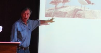 Viña del Mar: Festival de Aves realizará dos excursiones en marzo tras postergación por crisis social