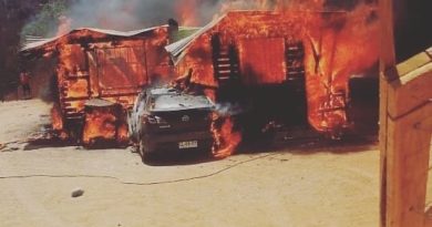 Dos menores murieron junto a su mamá en un incendio estructural en Villa Alemana