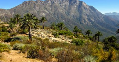 Conaf reiteró el llamado de precaución a turistas que visiten el Parque nacional La Campana