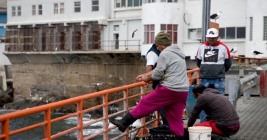 Fogata del Turista se realizará nuevamente en la Caleta El Membrillo
