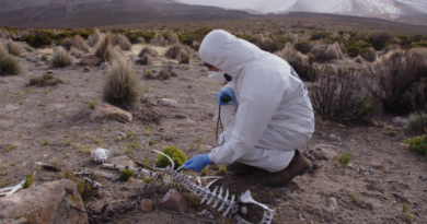 “Tráfico Ilícito”: Programa sobre el tráfico patrimonial en Chile se estrena en La Red