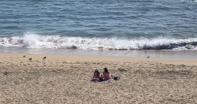 Viña del Mar: Alcaldesa oficia a Jefe de Defensa Nacional para el cierre de playas de la comuna en semana santa