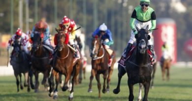 Reinician actividad hípica en Chile: desde el jueves en el Valparaíso Sporting