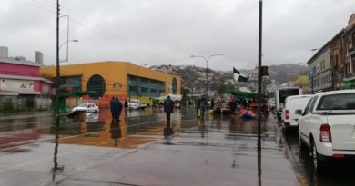 Feria Hortofrutícola de Avenida Argentina atendió a sus clientes pese a las precipitaciones