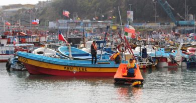 Con recursos por cerca de $700 millones lanzan concurso para pescadores artesanales de la región