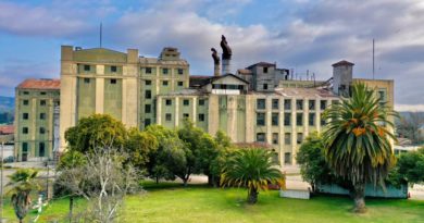 Rescatarán fábrica CCU de Limache: se convertirá en museo de la historia cervecera de Chile