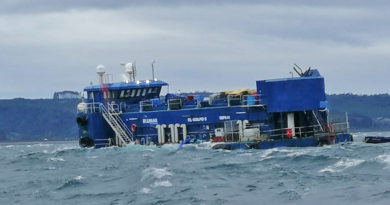 SuperIntendencia de MedioAmbiente oficia a salmonera pesquera