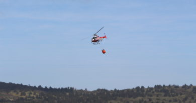 Más de 150 hectáreas se han quemado en incendio forestal que afecta  Zapallar y Papudo