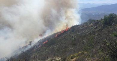 ONEMI decretó Alerta Roja en Zapallar tras incendio forestal que consume más de 90 hectáreas