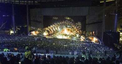 Definirán alternativas para la realización del festival de Viña del Mar 2021