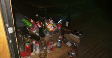 ¡OTRA MÁS! Sorprenden fiesta clandestina en parcela de Colliguay