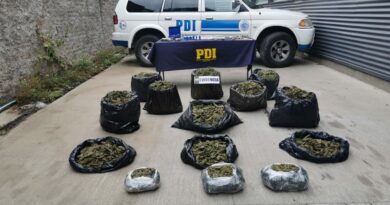 Detienen a clan familiar con $364 millones en La Calera