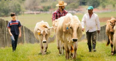 Inician octavo censo nacional agropecuario y forestal