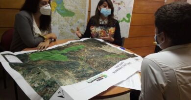 Presentan recurso que impida obras que impacte el medioambiente
