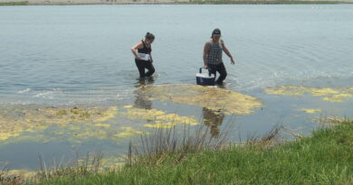 Académica UPLA participará en proyecto para validar sistema de monitoreo de humedales