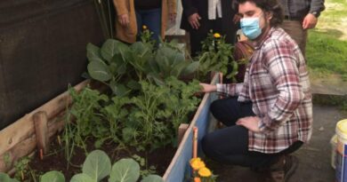 Implementarán proyecto de huertos comunitarios en colegio de Valparaíso para estudiantes con TEA