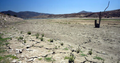 [OPINIÓN] La ceguera del poder centralizado y la invisibilización del saqueo