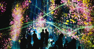 Encuentro de Cultura Digital reunirá a una veintena de expertos y artistas nacionales e internacionales