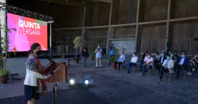 Quinta Vergara se activa con 18 espectáculos este verano